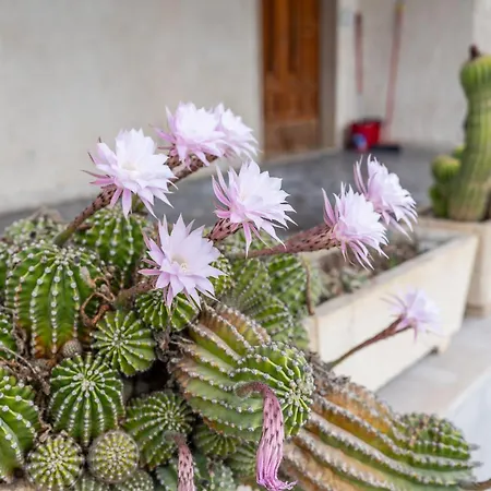 ゲストハウス D'angelo カザルボルディーノ